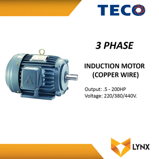 TECO INDUCTION MOTOR 3 PHASE